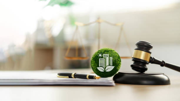 Understanding Environmental Compliance for Growing Businesses